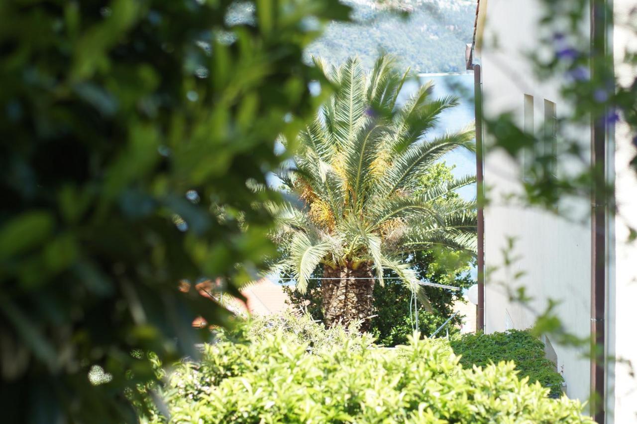 Oasis Blue Apartman Korčula Kültér fotó